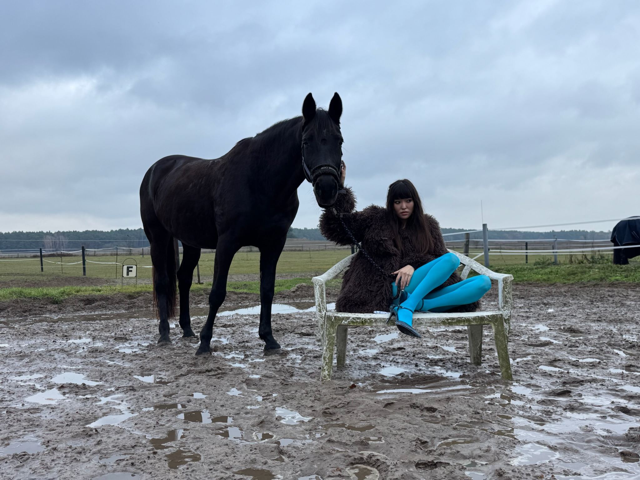 Model neben einem schwarzen Pferd auf einer Koppel unter bewölktem Himmel.